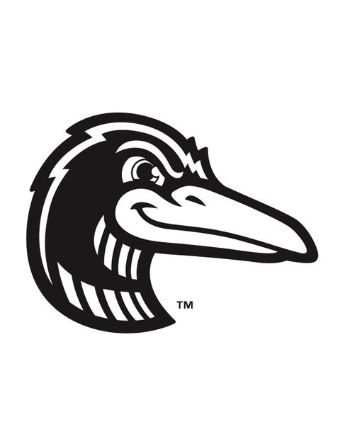 Great Lakes Loons – Baseball BBQ